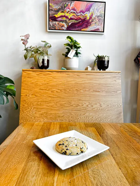 Pulp and Sprout Juice Bar and Vegan Cafe in Asheville NC with vegan and gluten-free cookie on plate on brown table with plants and wall hangings in background
