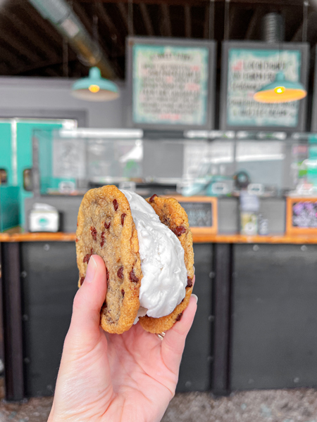 Sunshine Sammies Asheville NC with white hand holding up a vegan chocolate chip ice cream sandwich in front of counter with menu