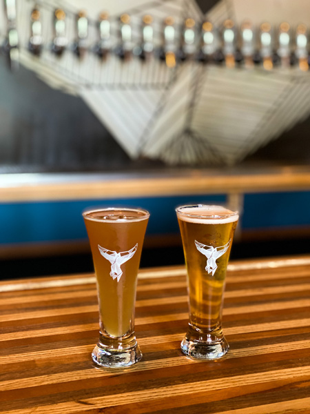 The Whale West Asheville NC with two small pours of light colored beer on bar in front of beer taps with whale logo