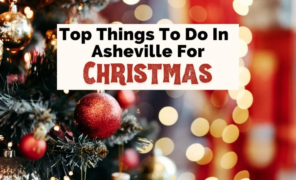 Christmas In Asheville NC with Christmas tree decorated with lights and red bulbs