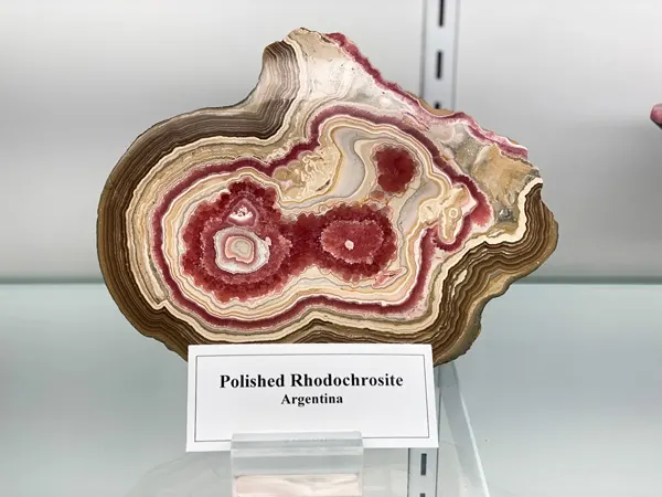 Hendersonville Mineral and Lapidary Museum red  and white cut open gemstone