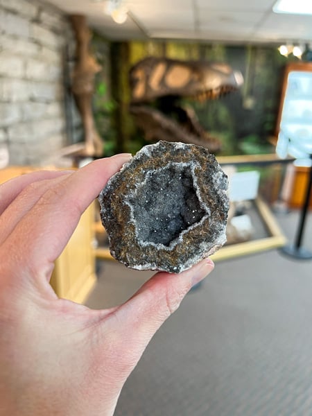 Mineral and Lapidary Museum of Henderson County with white hand holding up a cracked geode with gems inside