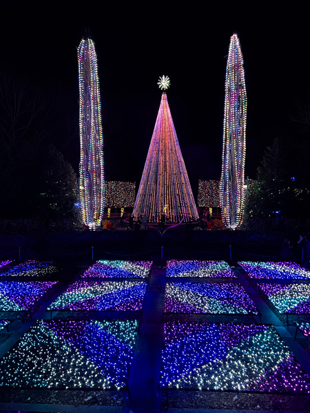 50-Foot Tree of Lights with lighted Quilt Garden in front of it at The NC Arboretum's Winter Lights event