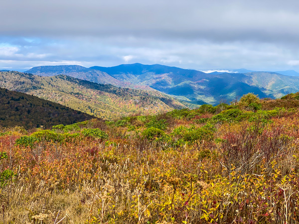 Art Loeb Trail NC with fall foliage over blue and green mountain range