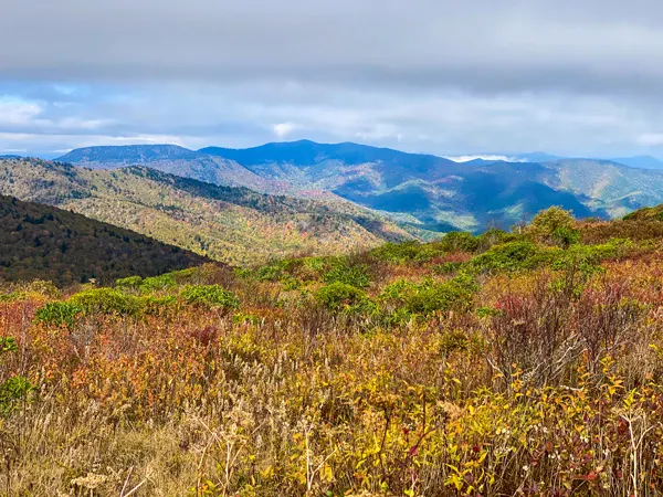 Art Loeb Trail NC with fall foliage over blue and green mountain range