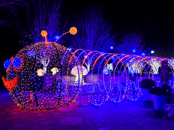 Caterpillar-shaped Light Tunnel at Winter Lights in Asheville, NC