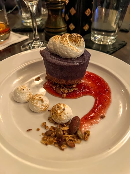 Cedric's Tavern at Biltmore Estate in Asheville with Vegan Dessert that looks like chocolate mousse on white plate with red sauce and dollops of vegan cream with nuts