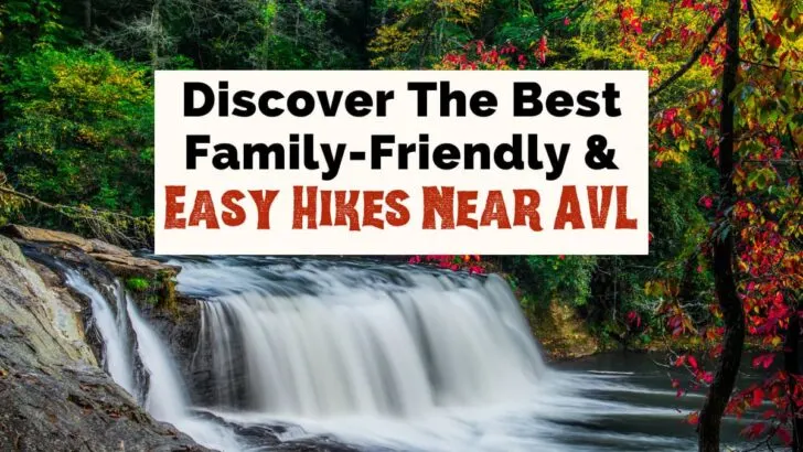 Family Friendly and Easy Hikes Near Asheville NC featured image with one tier waterfall, Hooker Falls at DuPont State Forest, surrounded by fall foliage