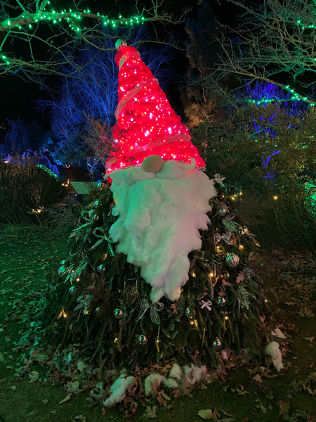 Gnome Light Display Asheville Winter Lights with tree dressed as gnome in red light hat with white beard