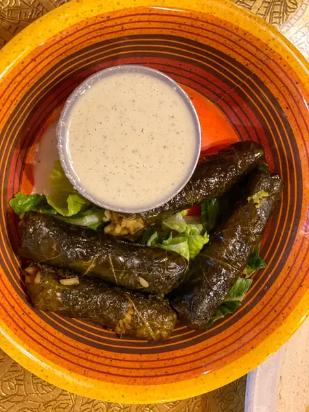 Jerusalem Garden Cafe Grape Leaves with vegan sauce in yellow and orange bowl