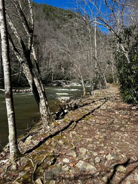Laurel River Trail, NC with image of blue sky, bare forest trees, greenish river, and rocky dirt trail
