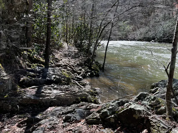 Laurel River Trail near Hot Springs NC with image of trail turning from packed dirts in rocks with river along the right side and trees in Pisgah National Forest