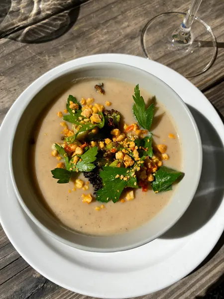 Leo's House of Thirst in Asheville vegan soup with tan liquid in white bowl garnished with green herbs