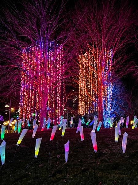 Pink and orange lighted trees with rainbow cones in front of them at Winter Lights in Asheville, NC