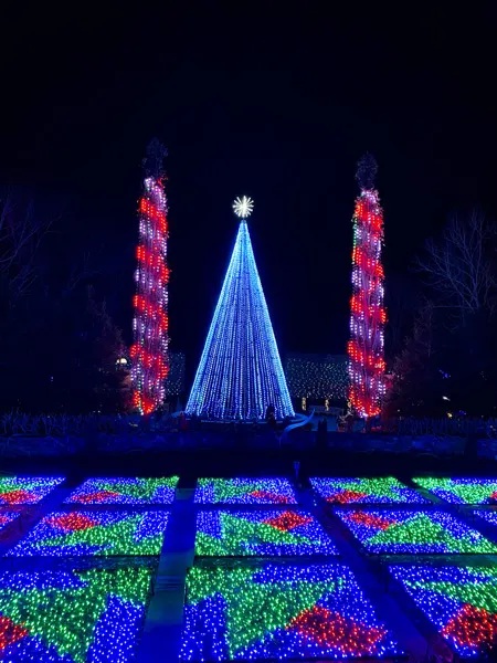 NC Arboretum Christmas Lights in Asheville with large light tree and quilt garden lit up
