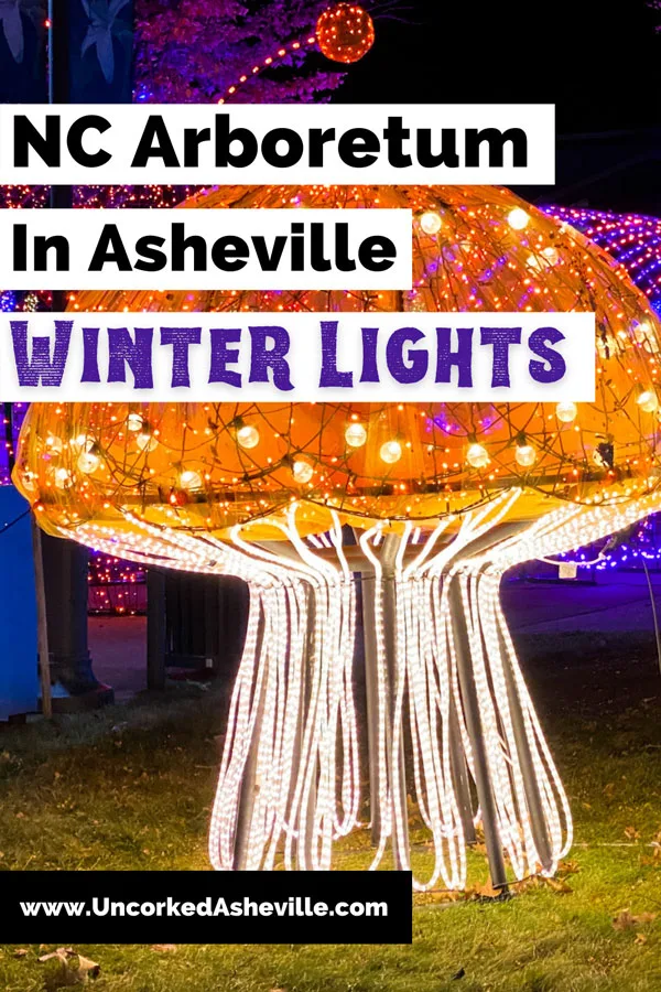 Winter Lights NC Arboretum Asheville NC Pinterest Pin with orange and yellow mushroom light display and caterpillar light display in background