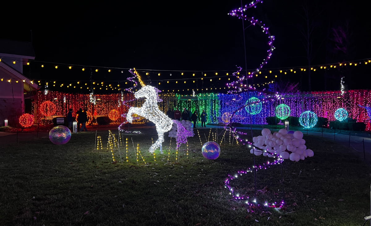 NC Arboretum’s Winter Lights Must-Visit Asheville Event