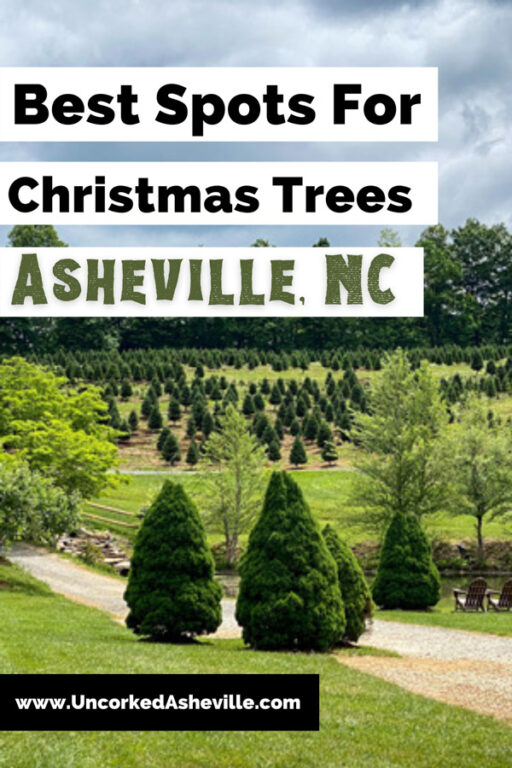 5 Christmas Tree Farms In And Near Asheville, NC Uncorked Asheville