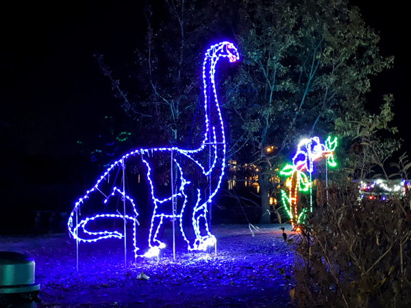 A purple dinosaur light display next to flower light display at the drive-thru Lake Julian Festival of Lights