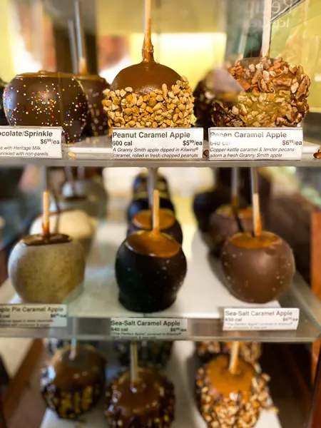 Kilwins Asheville Chocolate Apples with caramel, nuts, and sprinkles in display case