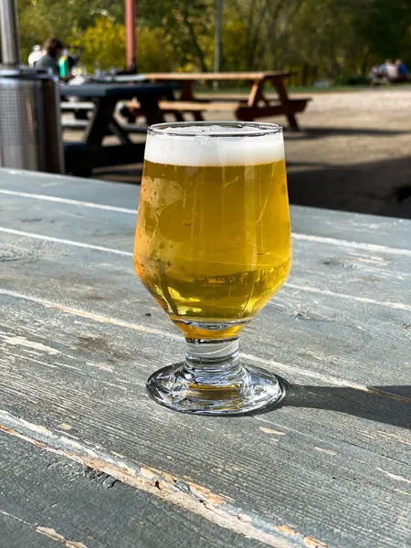 Zillicoah Beer Company with yellow gold beer on gray brown picnic table