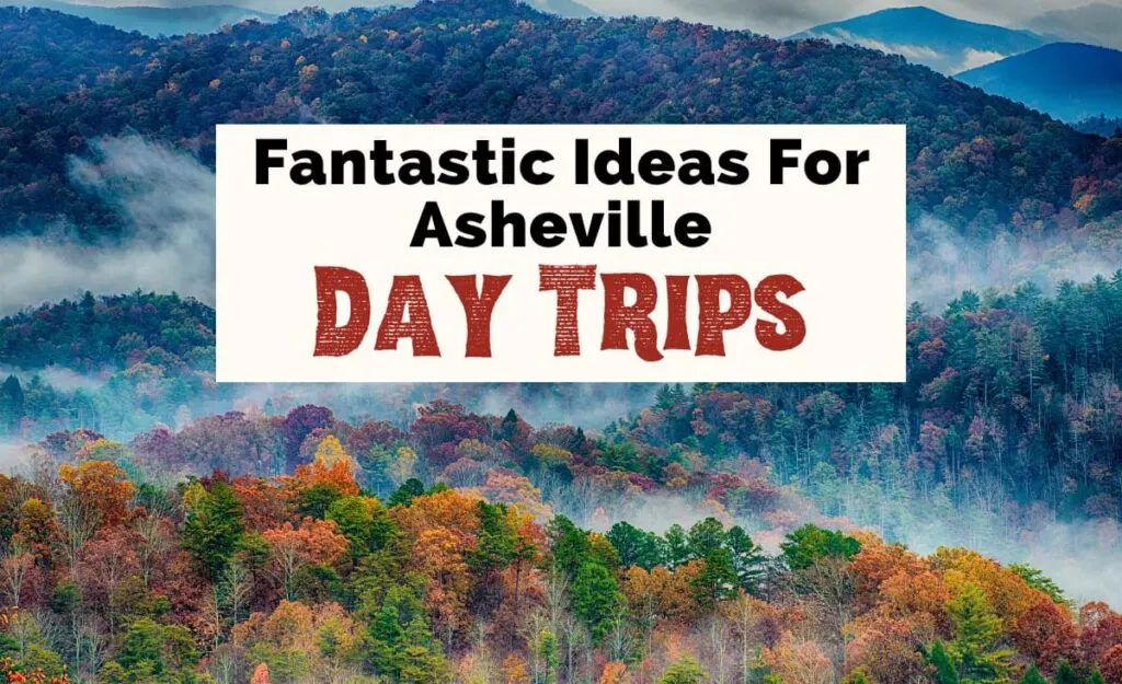 Best Day Trips From Asheville NC with Great Smoky Mountains during the fall with foliage on trees and fog in blue mountains