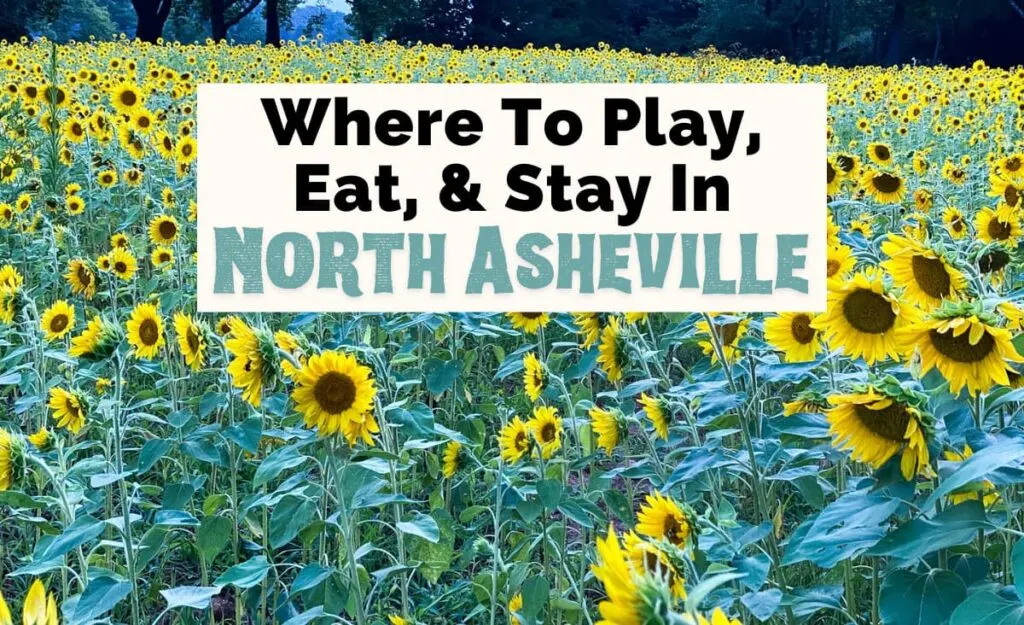 North Asheville Neighborhood Guide with picture of sunflower field at Beaver Lake