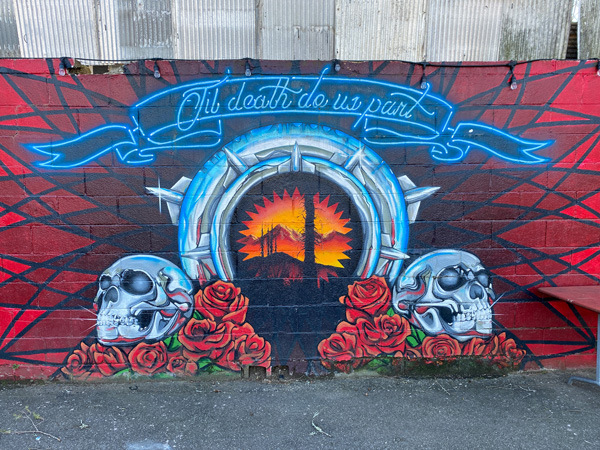 Fleetwoods Chapel Mural Asheville with two skulls with red roses and slogan that says til death do us part