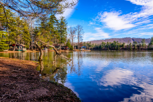 Lake Julian Asheville with blue lake surrounded by green trees and mountains