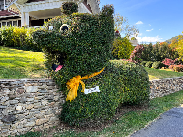 Lake Junaluska NC Bushy which is bush shaped into a dog with a yellow ribbon collar and a bone nametag