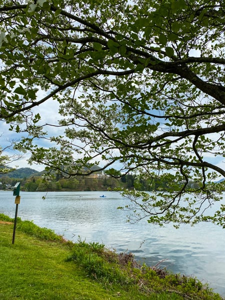 Lake Junaluska Near Asheville with blue silver water, green grass, two people kayaking on water, tree, and bird feeder