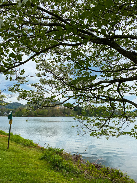 Lake Junaluska Near Asheville with blue silver water, green grass, two people kayaking on water, tree, and bird feeder
