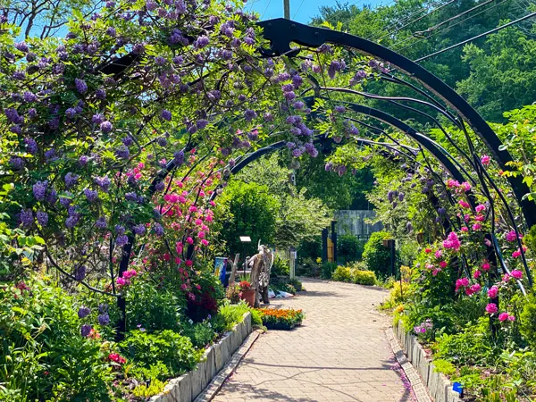 Flowering Bridge Lake Lure NC in stone pathway with arches filled with pink and purple flowers over it