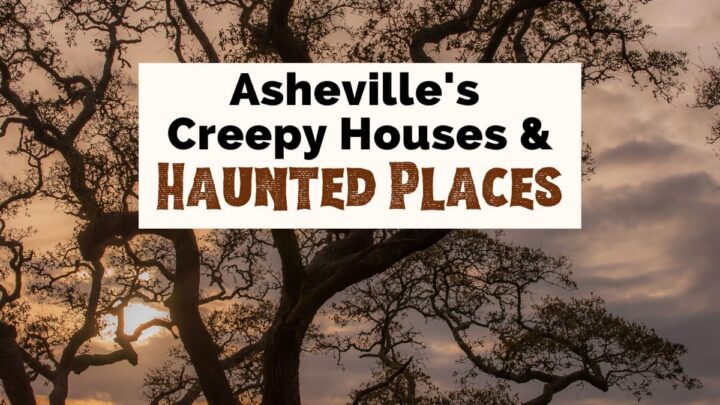 Haunted Houses In Asheville NC with photo of bare tree with many branches and cloudy sky that's tinted purple and orange