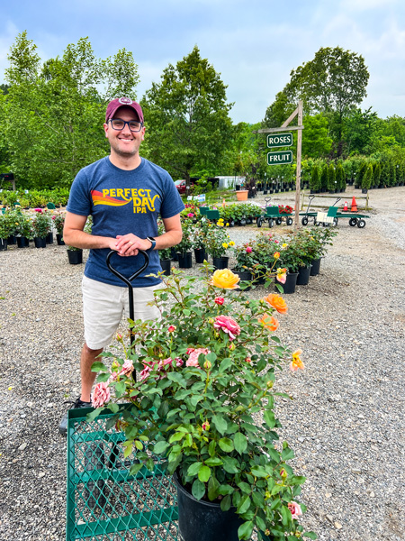 Tom rose shopping at Reems Creek Nursery