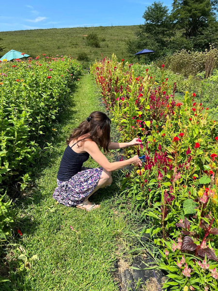 Christine flower picking at Never Ending Flower Farm