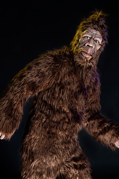 Bigfoot with large, brown fur, and human-like creature with face with eyes, nose, and mouth