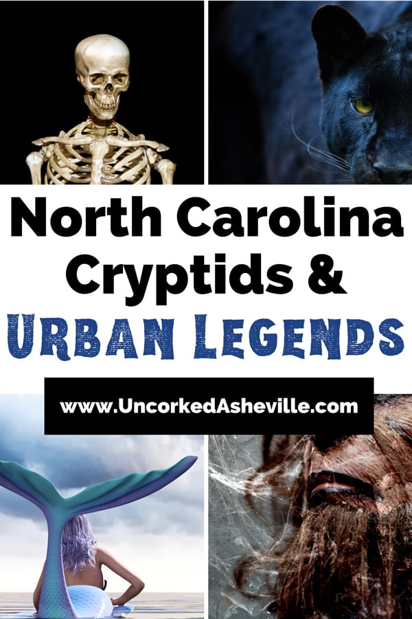 North Carolina Urban Legends Monsters Ghosts Pinterest Pin with image of skeleton, black panther, purple and blue hued mermaid, and werewolf beast like creature with brown fur