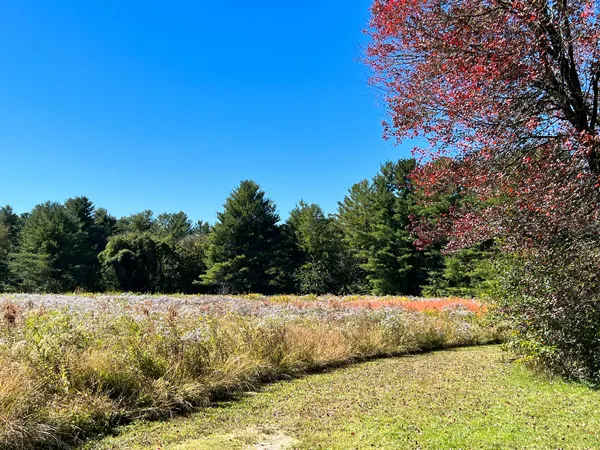Park at Flat Rock North Carolina with green grass and field of purple, red and orange wildflowers with fall foliage red trees and bright blue sky