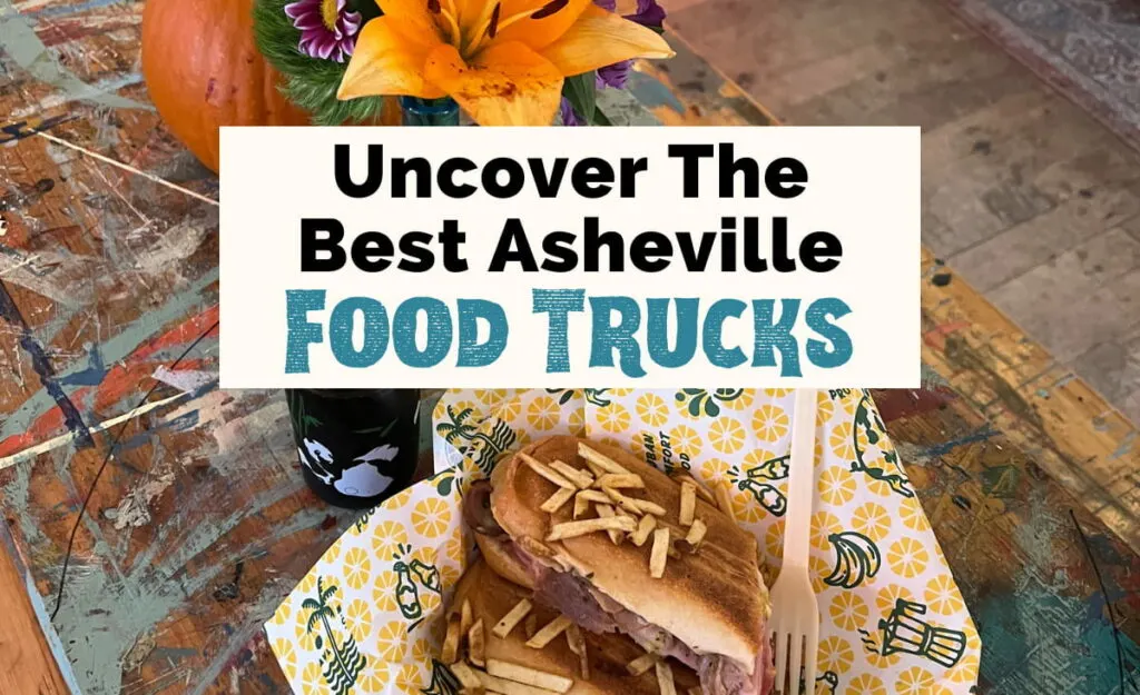 Food Trucks in Asheville NC with Cuban sandwich in takeaway dish with fried potatoes on top and flower vase in background