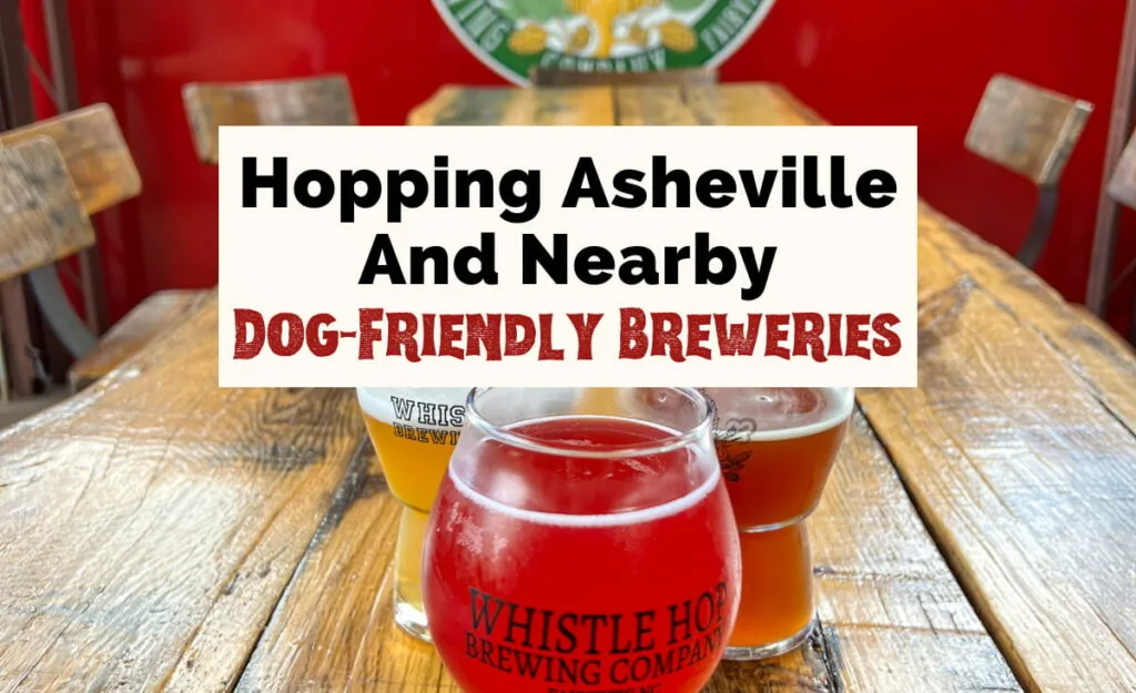 Dog-Friendly Breweries In Asheville NC with image of three beers - one red, yellow, and amber, on brown table with red caboose and logo in the background