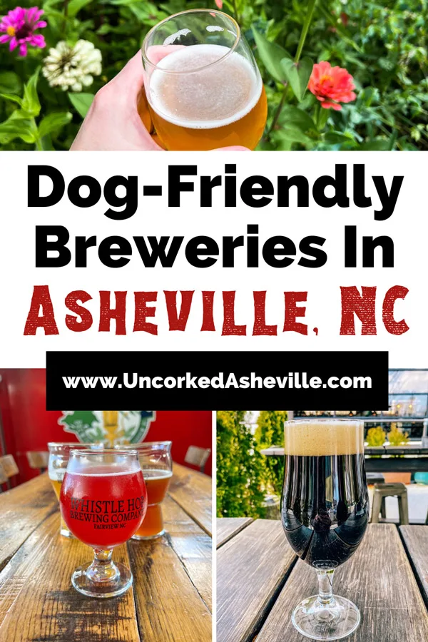 Dog Friendly Breweries Near Asheville NC pinterest pin with top photo of white hand holding amber beer over flowers, bottom left photo of three beers on brown table with red caboose in background, and bottom right picture of brown beer on table