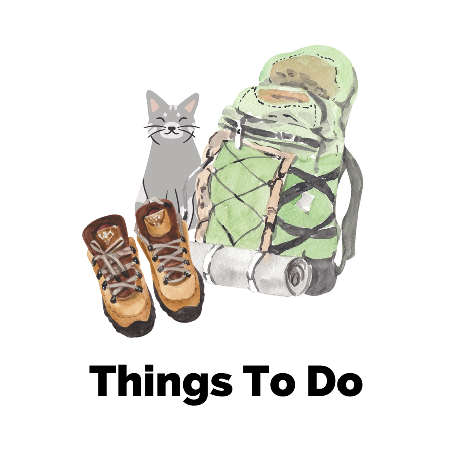Asheville Things To Do with graphic of hiking shoes, gray and white cat, and green hiking backpack