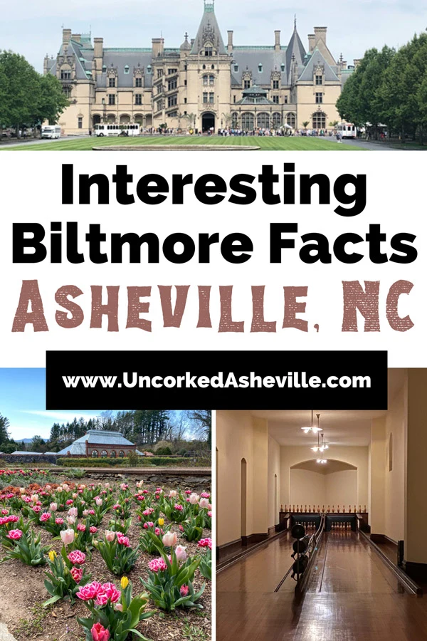Biltmore Estate Facts Asheville NC Pinterest Pin with three images, one of Biltmore House, one of pink tulips with Biltmore Conservatory, and one of Biltmore House's indoor swimming pool
