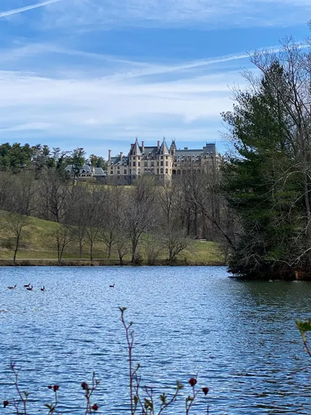Biltmore Estate Lagoon in Asheville, NC with Biltmore mansion high on hill in background and blue lake with ducks and trees in front