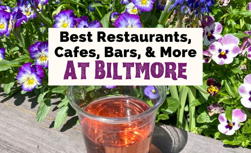Biltmore Estate Restaurants with image of pink wine in plastic takeaway cup on concrete ledge with purple flowers in the background
