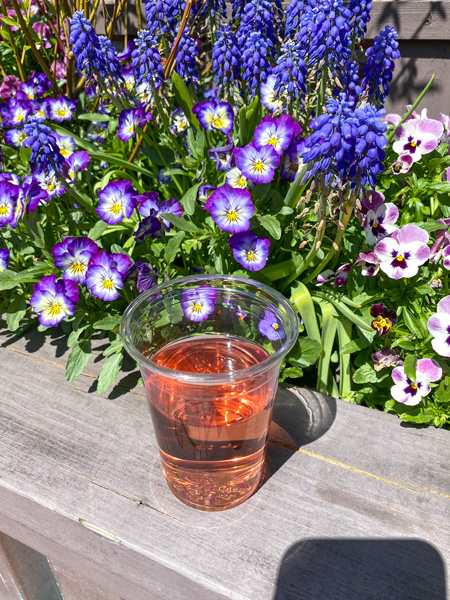 The Conservatory Cafe At Biltmore Estate in Asheville with plastic cup with pink wine on concrete ledge with purple flowers in background