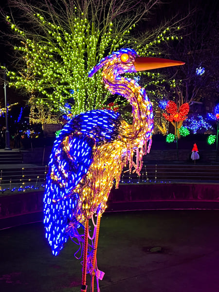 Winter Lights at NC Arboretum in Asheville with light display of Blue Heron at night in gardens