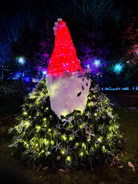 Garden Gnome made from bush with lights with beard and red hat the NC Arboretum's Winter Lights Festival in Asheville, NC