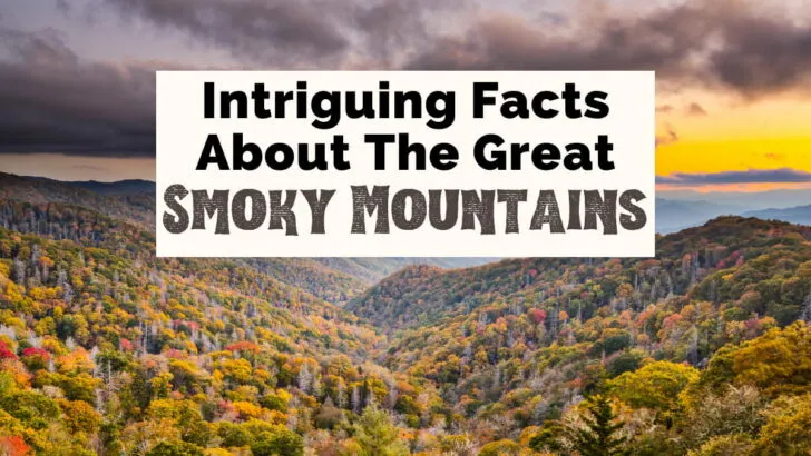 Great Smoky Mountain Facts with image of mountains with smoky gray purple clouds and fall foliage trees